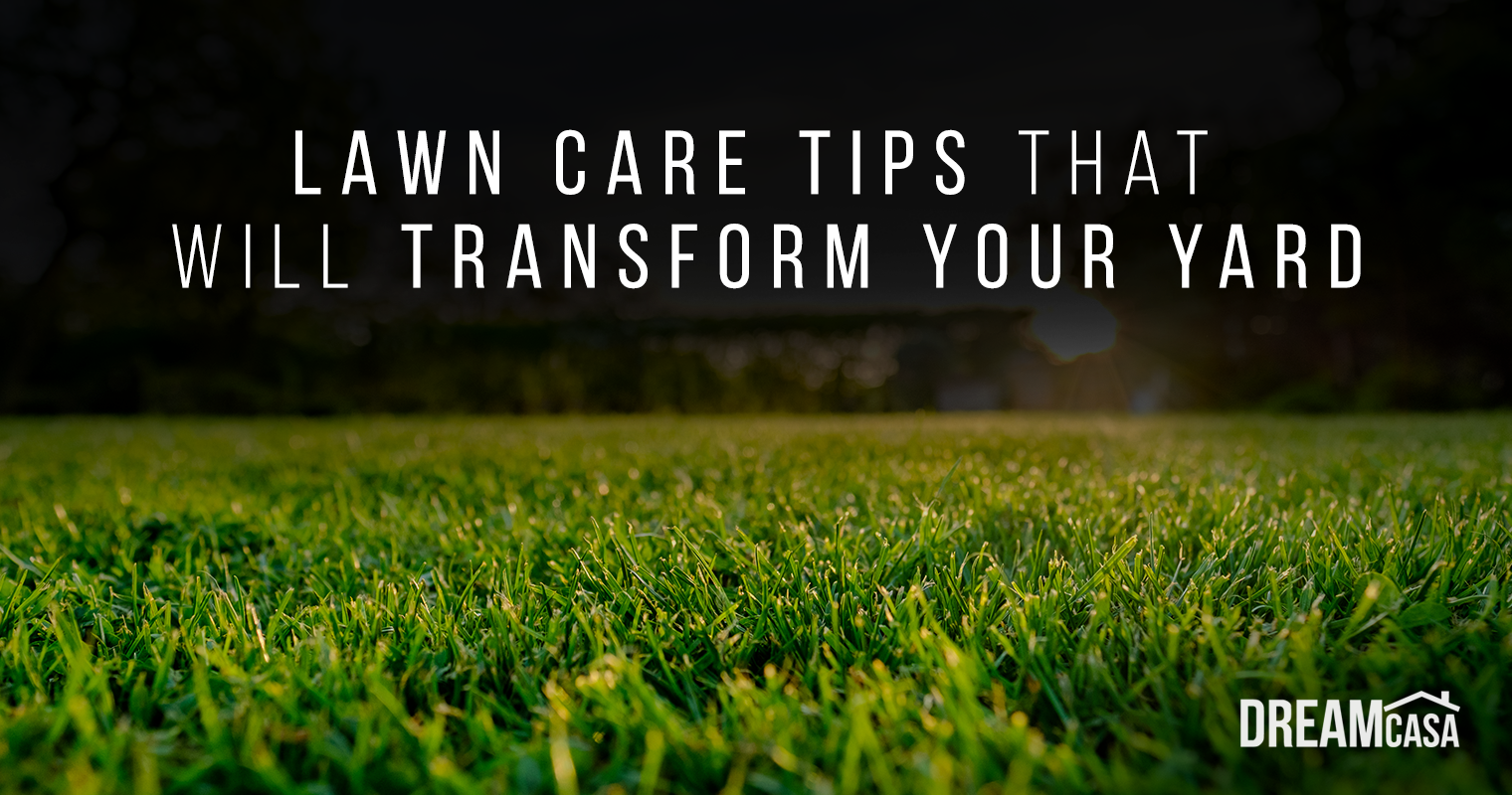 tips for lawn care