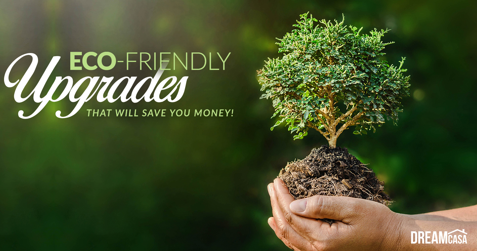 go green save money